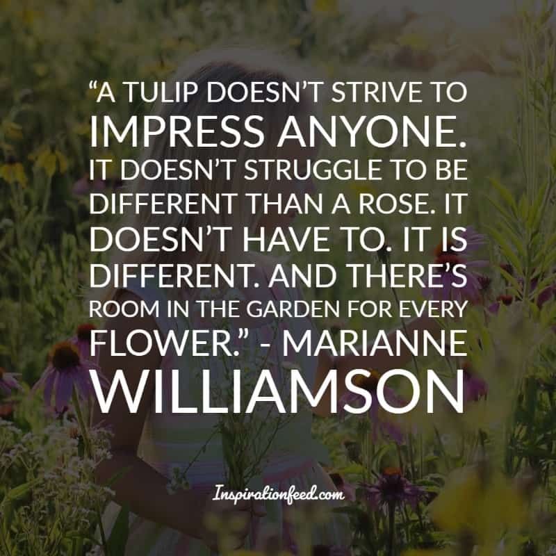 Marianne Williamson Sitater