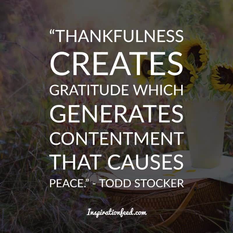 Thanksgiving citat