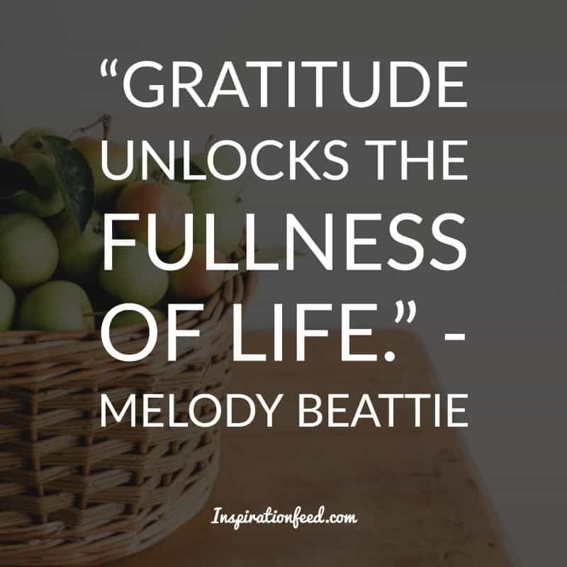 Thanksgiving citat