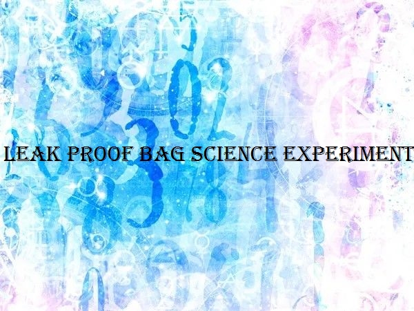 Bolsa experimento científico de fuente para beber.