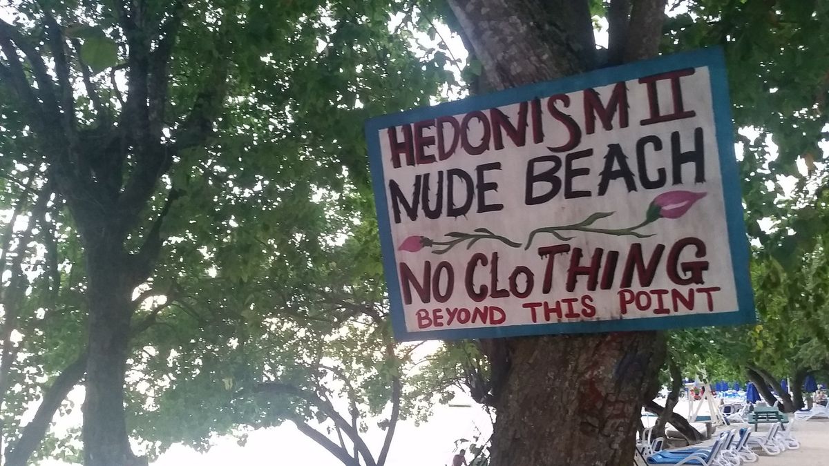 La imagen puede contener Vegetación Planta Árbol Texto Bosque Arbolado Aire libre Naturaleza Tierra Banner Arboleda Etiqueta y palabra