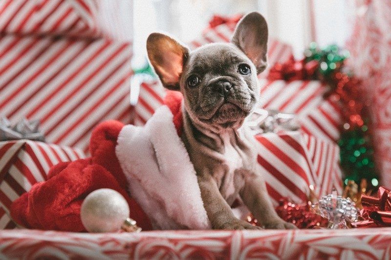 Fondos De Navidad