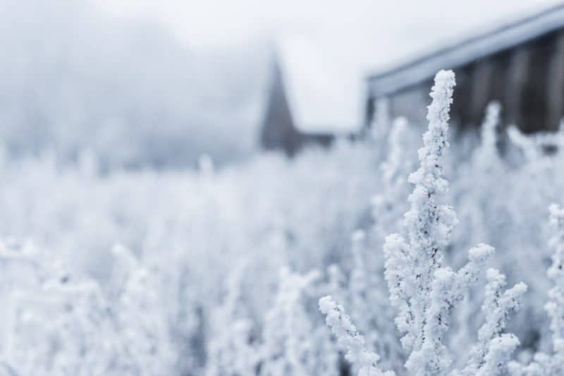 Fondos de invierno