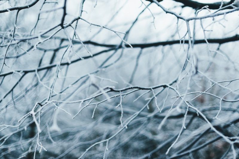 Fondos de invierno