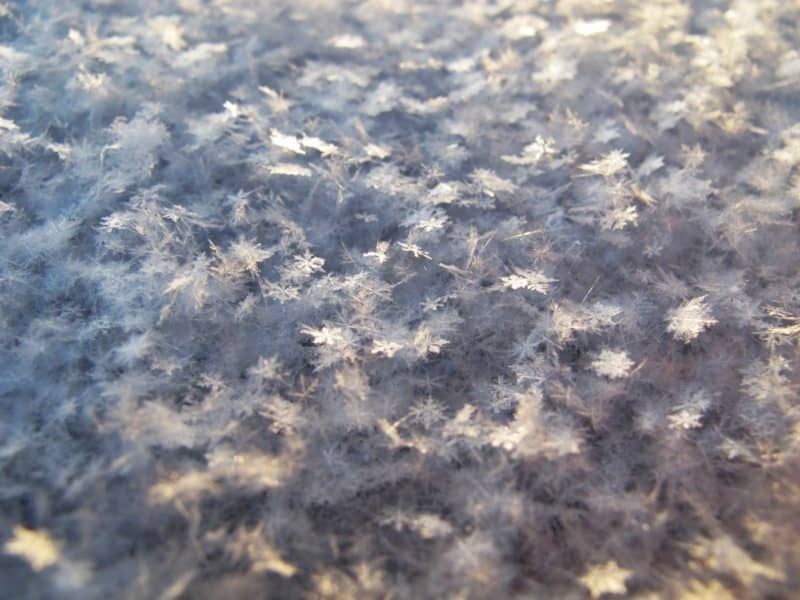 Fondos de invierno