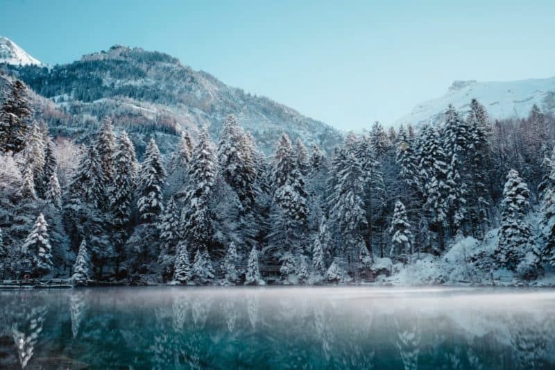 Fondos de invierno