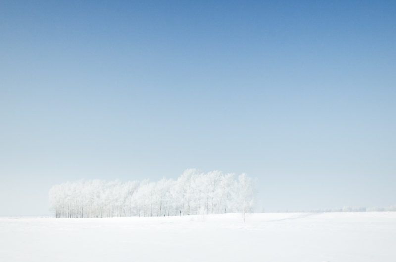 Fondos de invierno