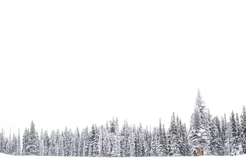 Fondos de invierno