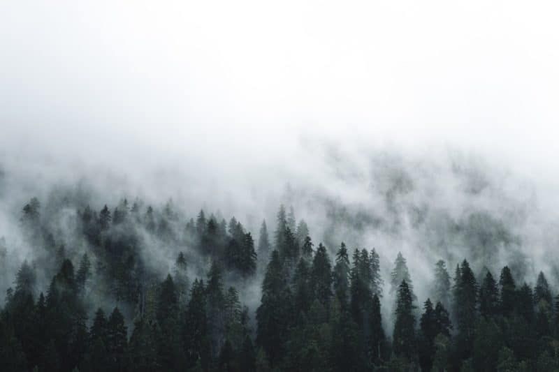 Fondos de invierno
