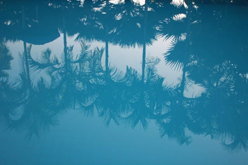 Fondos De Pantalla De Verano