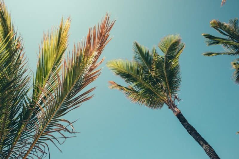Fondos De Pantalla De Verano