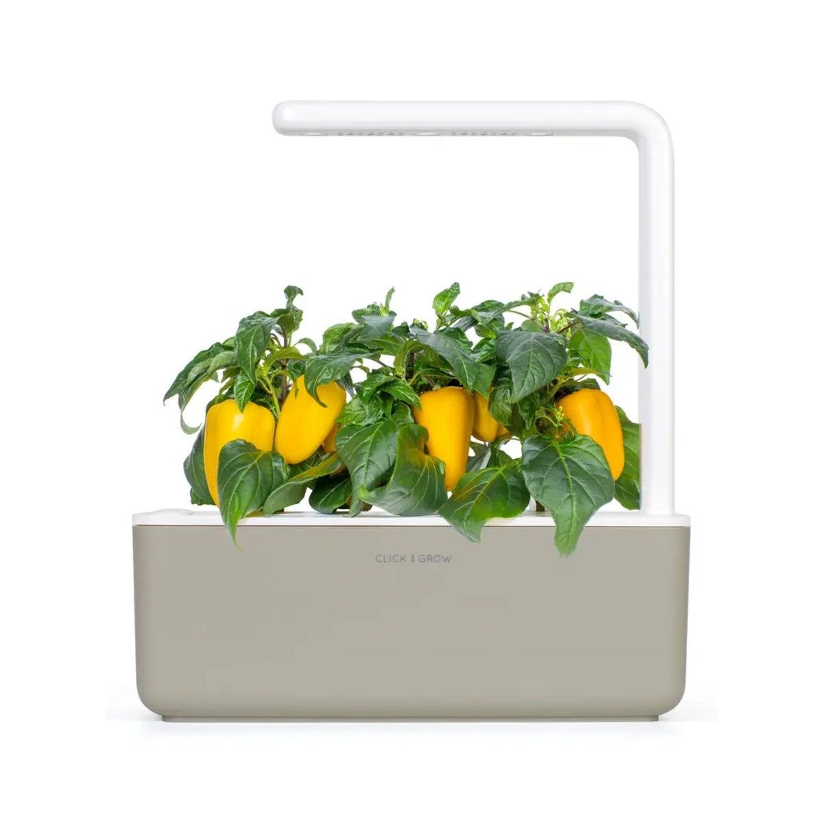 Juego de jardín interior con riego automático Click & Grow