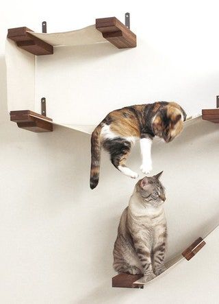 Tuft Paw kattvägg lekplats