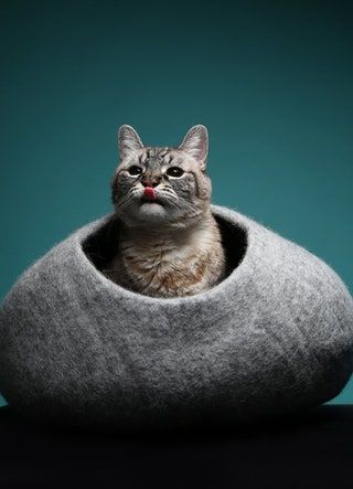 Max Bone Alva Filt Cat Cave