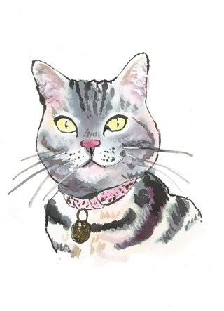 Annabel Pearl silver katt akvarellmålning