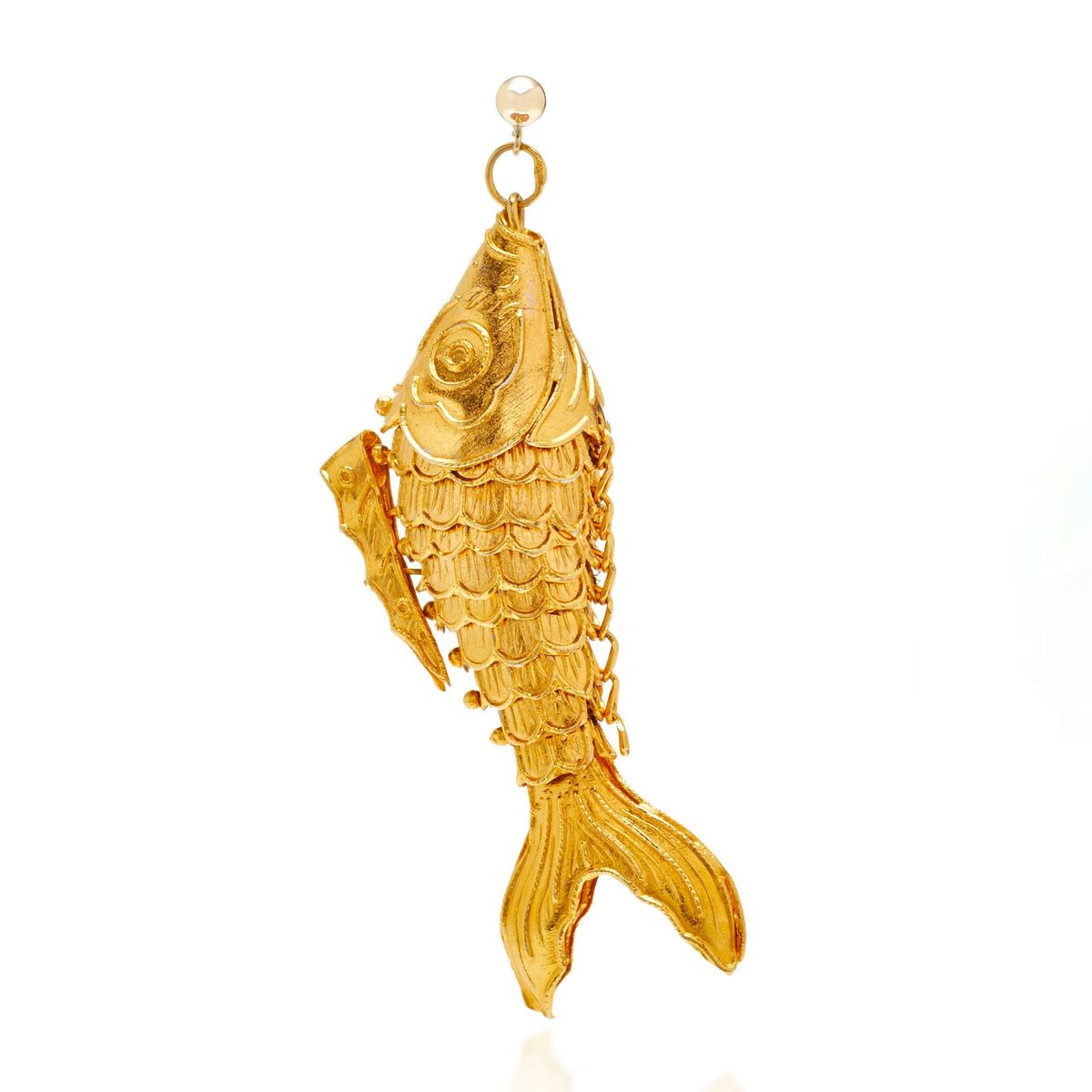 encanto de pez dorado