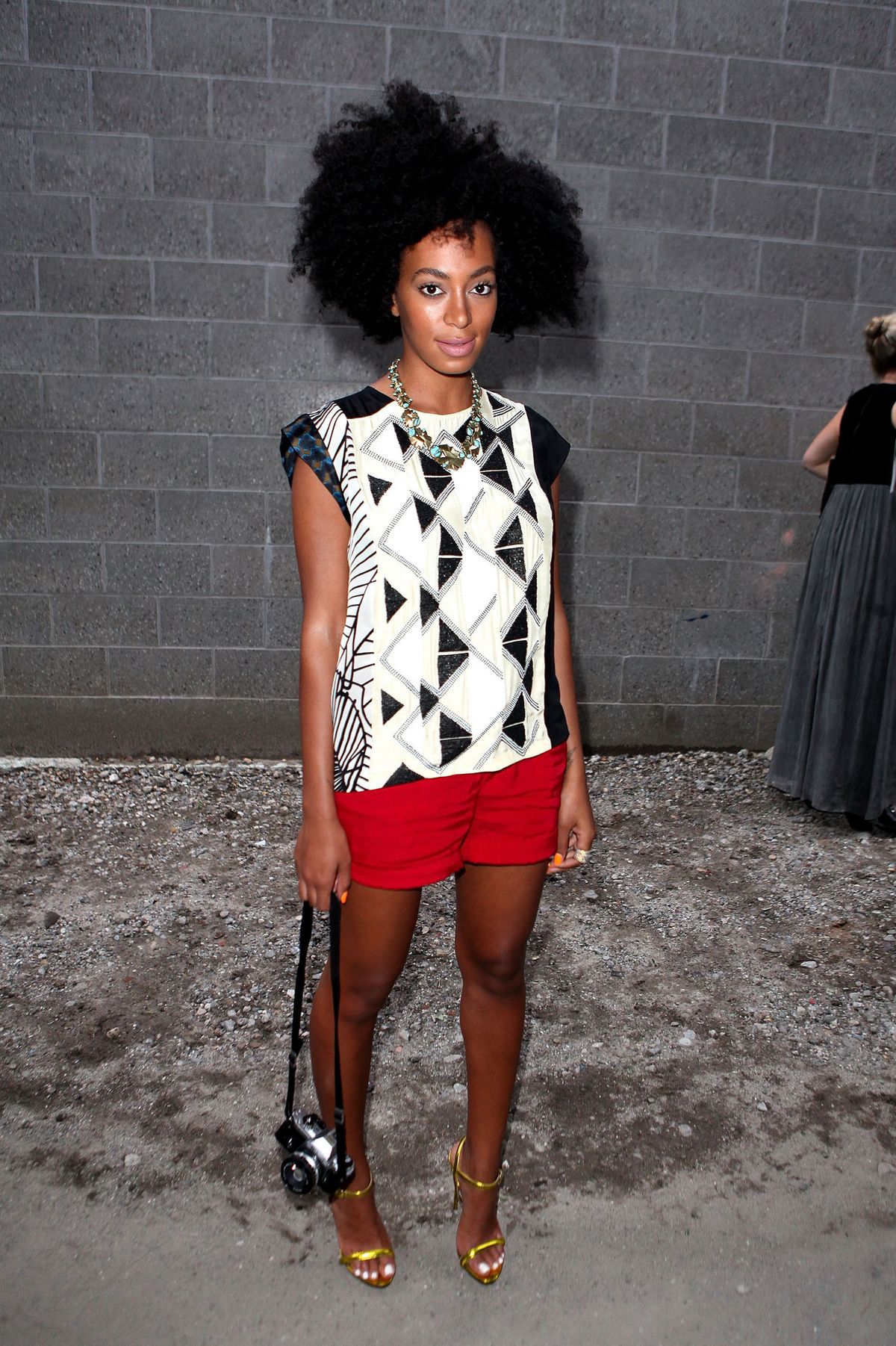 La imagen puede contener Solange Knowles Ropa Vestimenta Persona femenina humana Cabello Vestido Mujer y manga