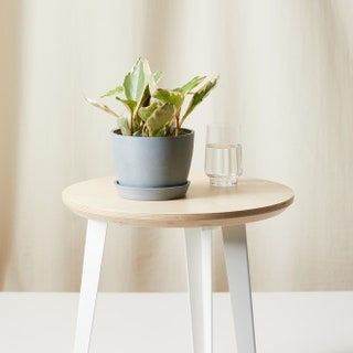 mit einem Glas Wasser auf den Stuhl pflanzen