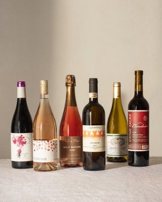 vinski klub plonk