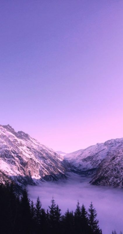 Fondos De Pantalla Morados
