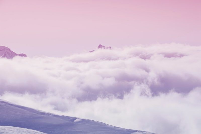 Fondos De Pantalla Morados