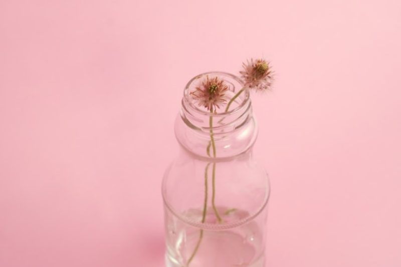 Fondos de pantalla rosa gratis