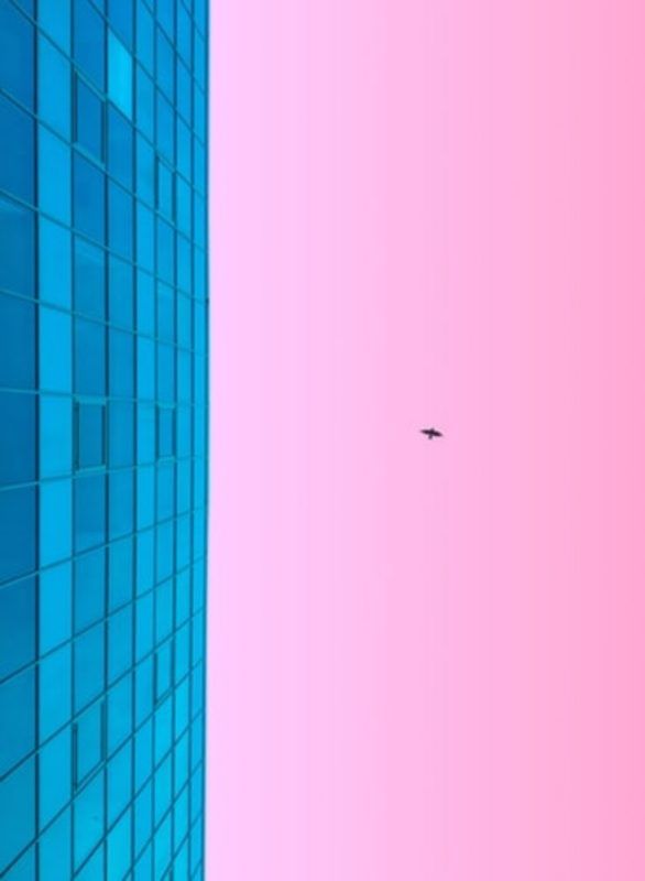 Fondos de pantalla rosa gratis