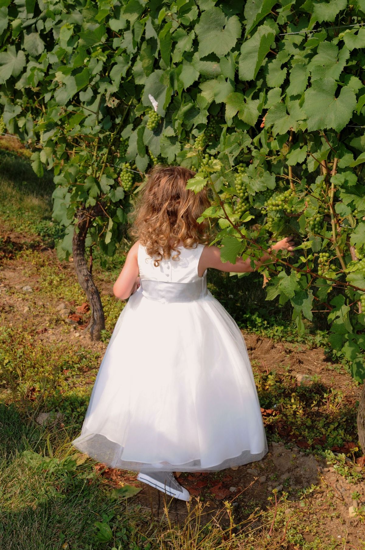 La imagen puede contener Vestido Ropa Vestimenta Humano Persona femenina Planta Aire libre Naturaleza Mujer Vestido de novia y bata