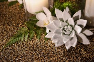 Bilden kan innehålla Plant Tree Flower Blossom Graphics Floral Design Art and Pattern