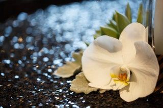 Bilden kan innehålla Plant Flower Blossom Petal och Pelargon